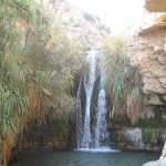 אטרקציות